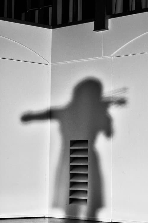 La Violinista